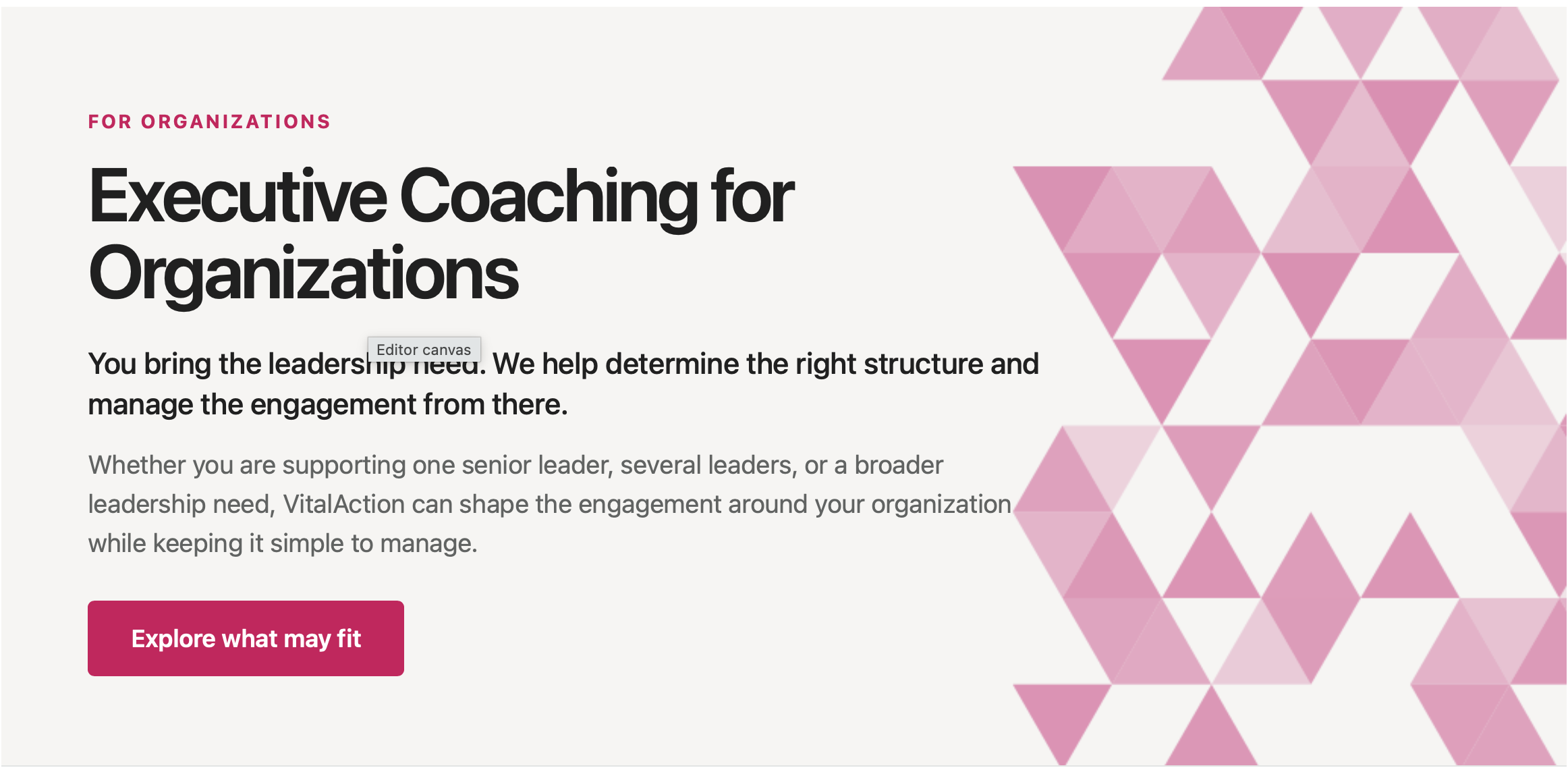 Executive coaching for organizations supporting stronger leadership judgment, communication and performance under pressure