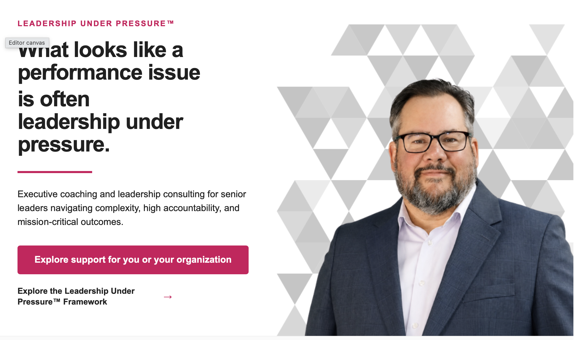 Executive coaching for senior leaders navigating pressure, complexity and high-stakes decisions
